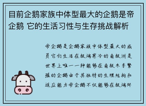 目前企鹅家族中体型最大的企鹅是帝企鹅 它的生活习性与生存挑战解析